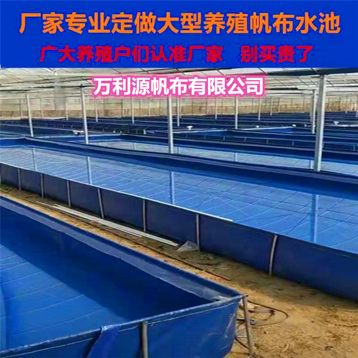 养殖帆布虾池定做价格-帆布养殖鱼池生产厂家